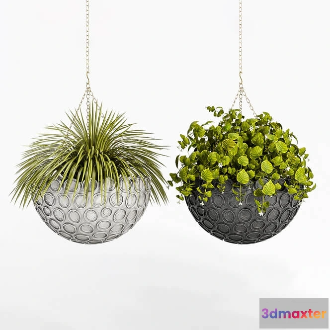 1606008 - decoration - Plant set 110 3D Max