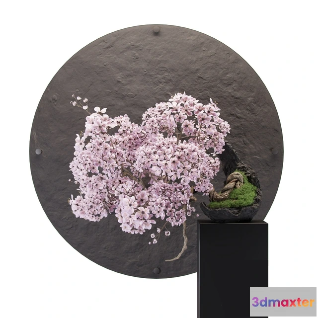 1606022 - decoration - Bonsai sakura 2 3D Max