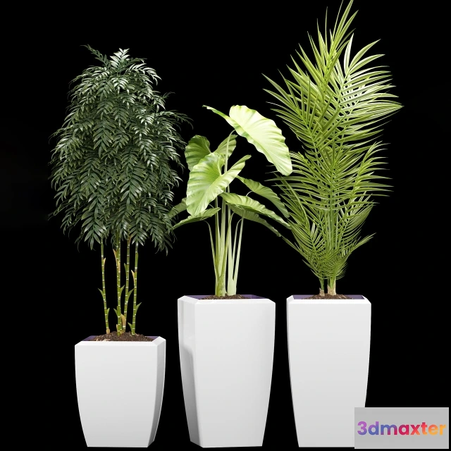 1606032 - decoration - Plants 127 3D Max