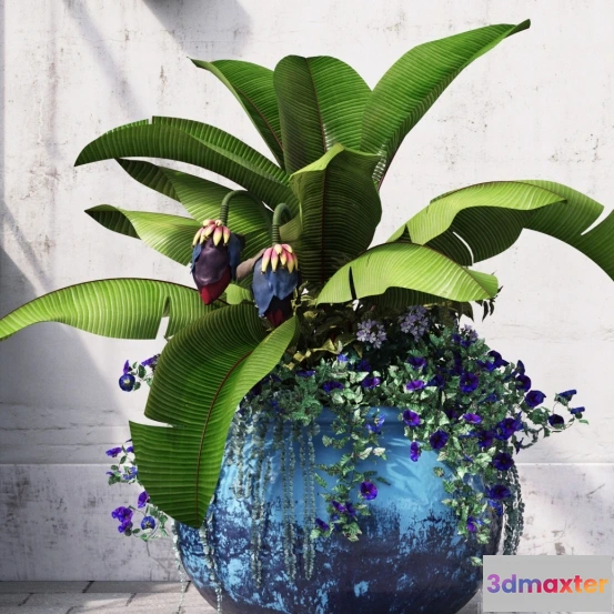 1606036 - decoration - Tropical Symphony 3D Max