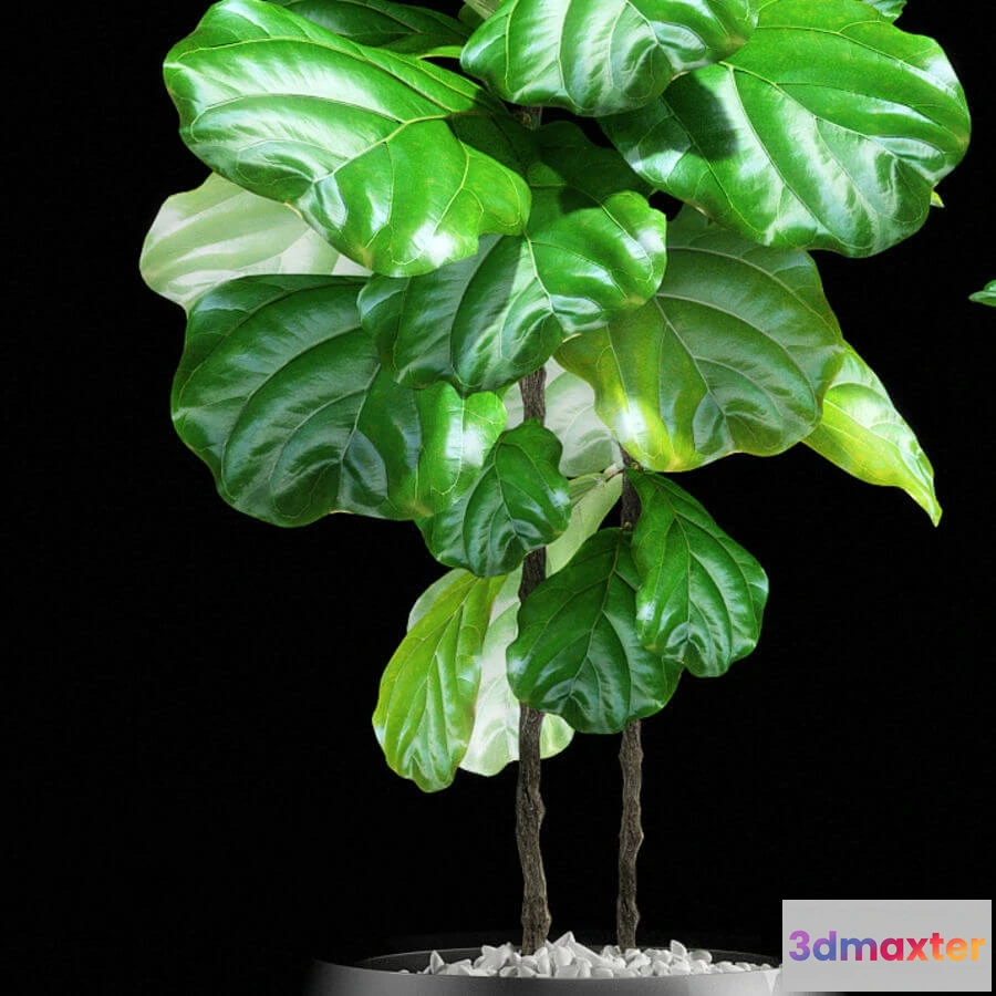 1606046 - decoration - Plants 133 3D Max