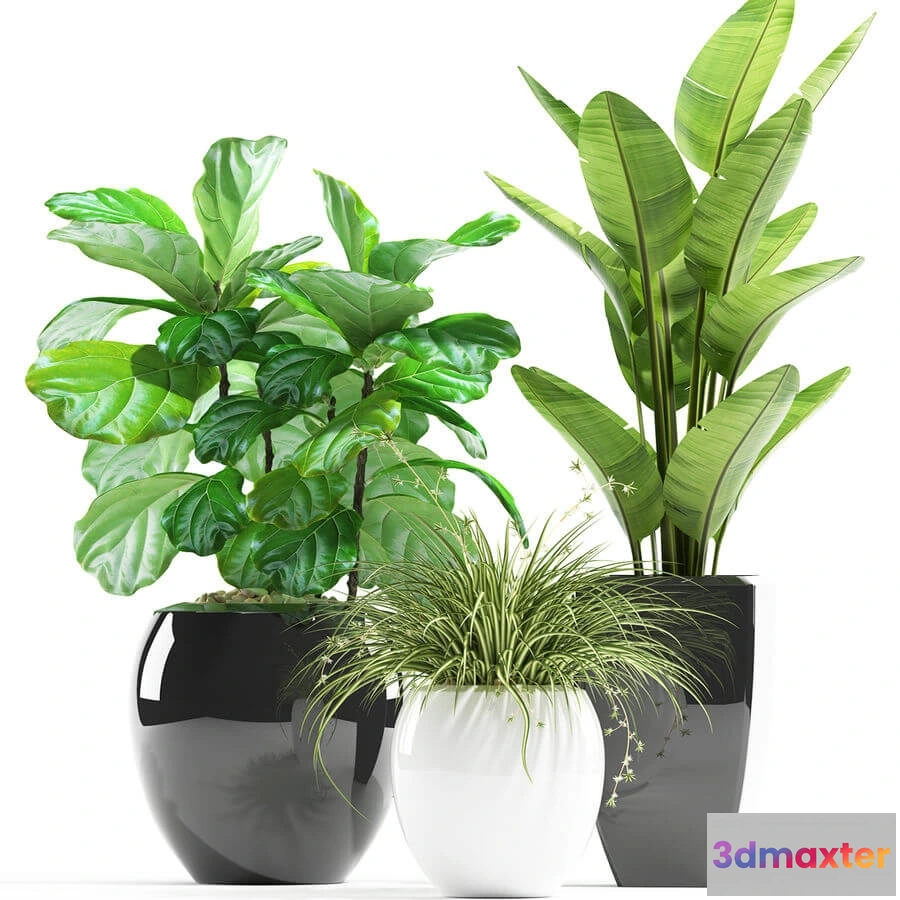 1606054 - decoration - Plants 119 3D Max