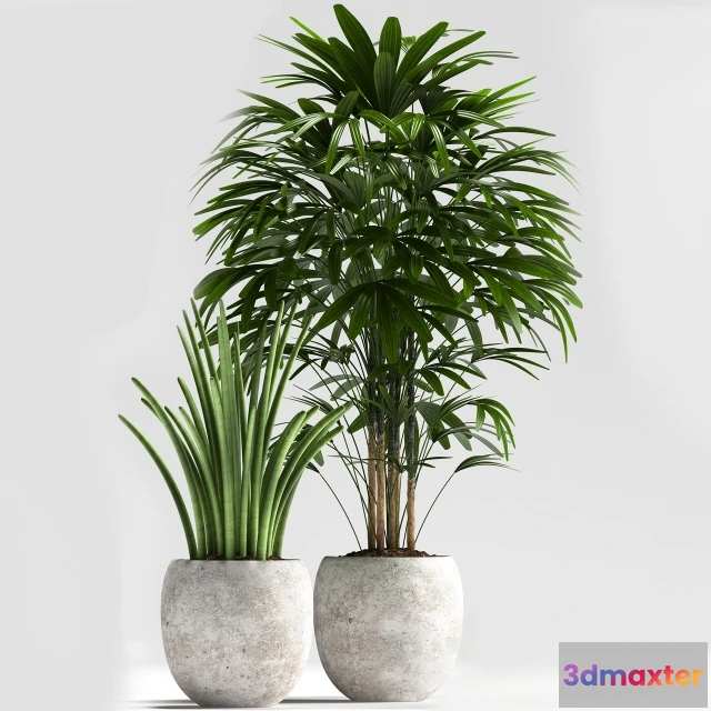 1606060 - decoration - Plants 114 3D Max