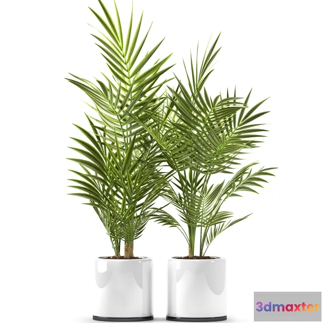 1606066 - decoration - Plants 123 3D Max