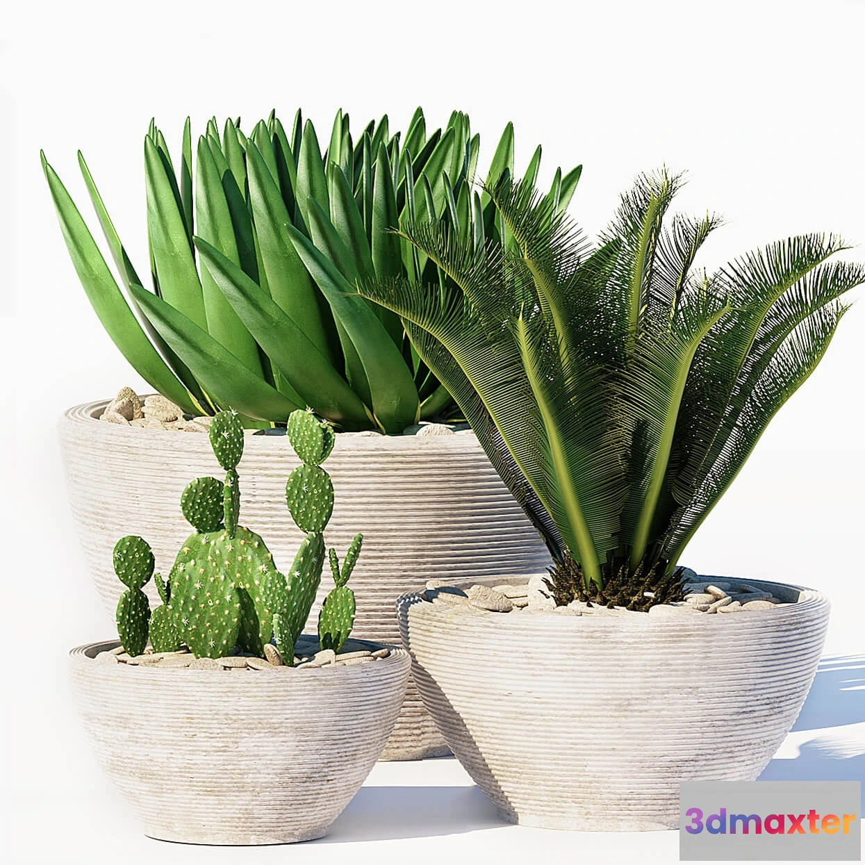 1606068 - decoration - Plants 150 3D Max