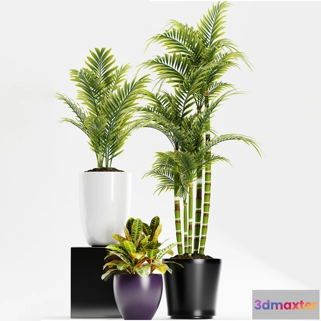 1606076 - decoration - Plants 158 3D Max