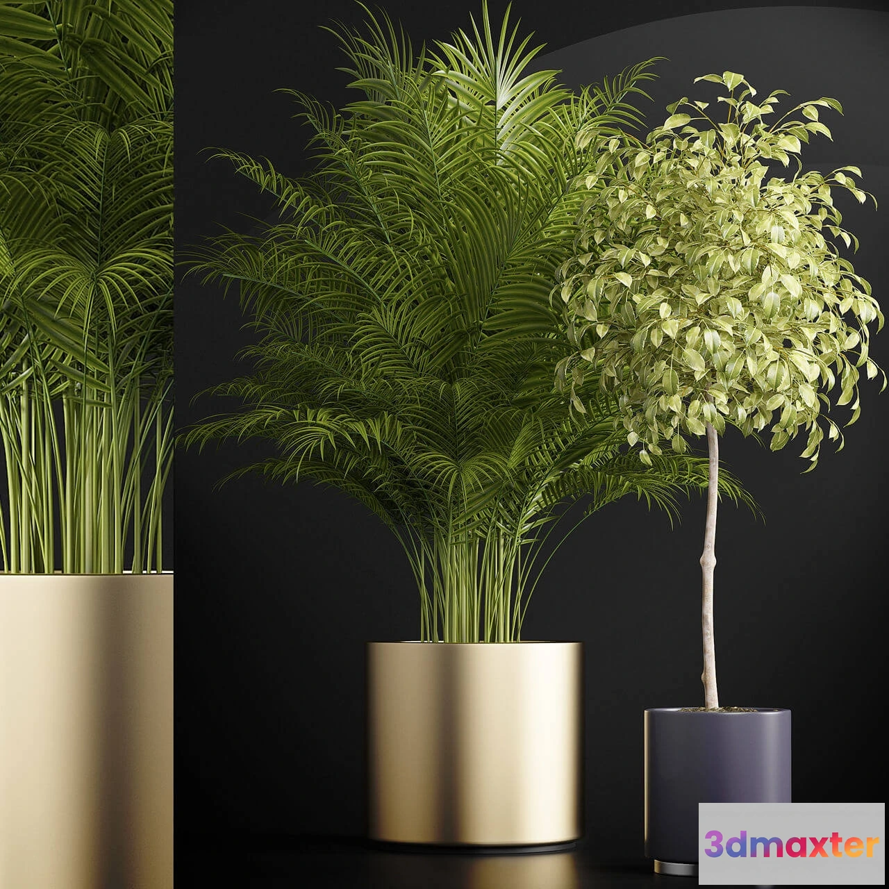 1606078 - decoration - Plants 152 3D Max