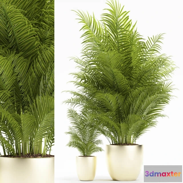 1606080 - decoration - Plants 156 3D Max