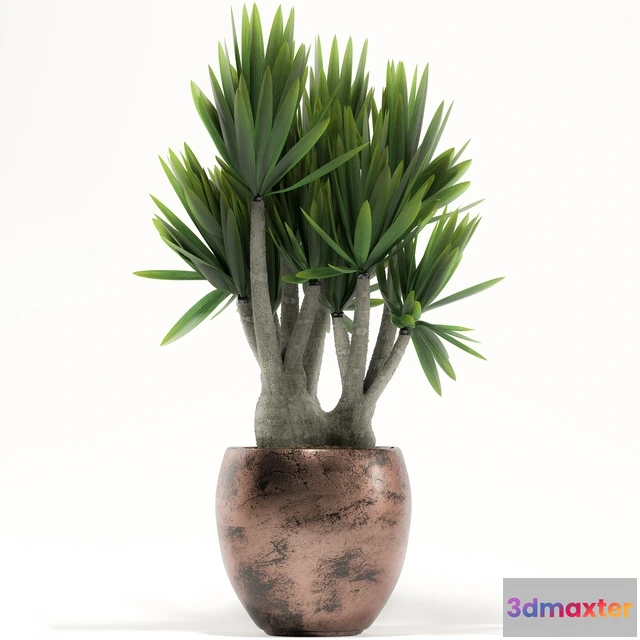 1606086 - decoration - Plants 161 3D Max