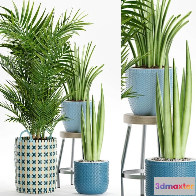 1606088 - decoration - Plants  166 3D Max