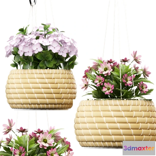 1606090 - decoration - Plants 141 3D Max