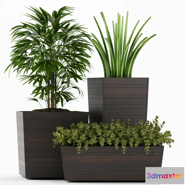 1606092 - decoration - Plants 136 3D Max