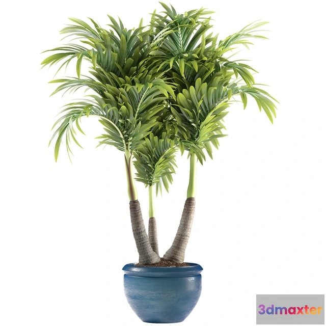 1606094 - decoration - Plants 148 3D Max