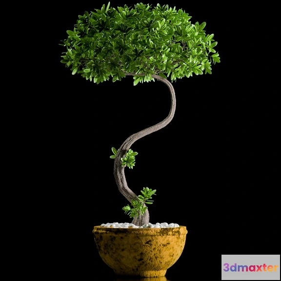 1606096 - decoration - Plants 146 3D Max