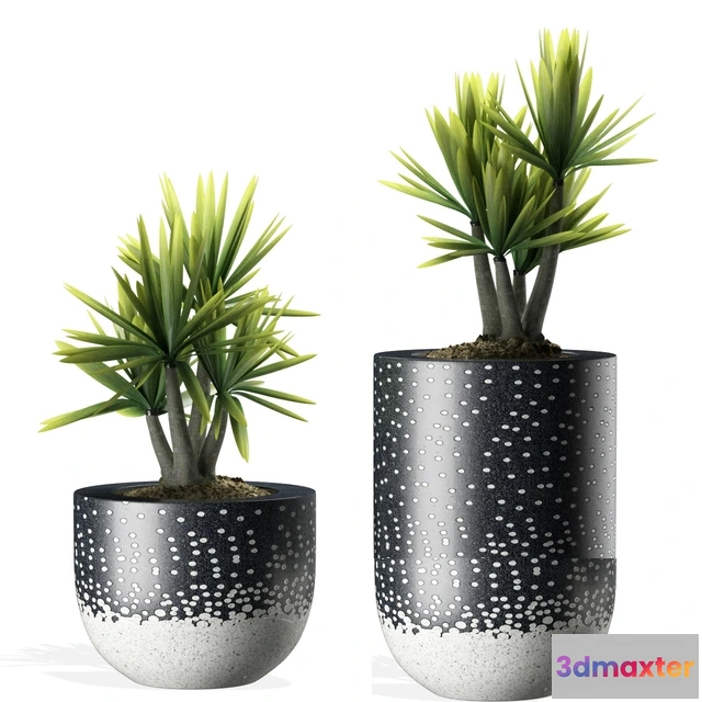 1606098 - decoration - Plants 142 3D Max