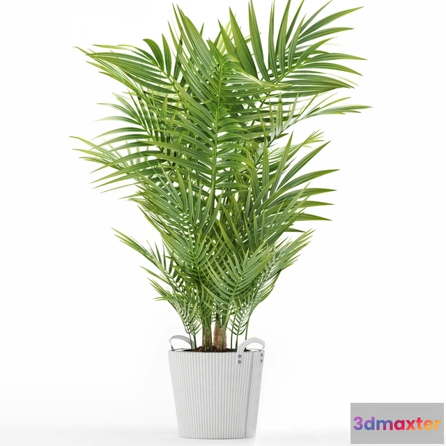 1606100 - decoration - Plants 149 3D Max