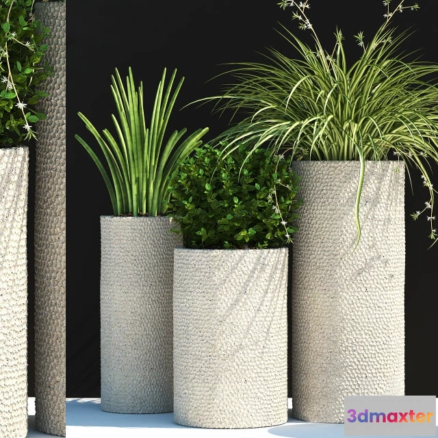 1606106 - decoration - Plants 129 3D Max