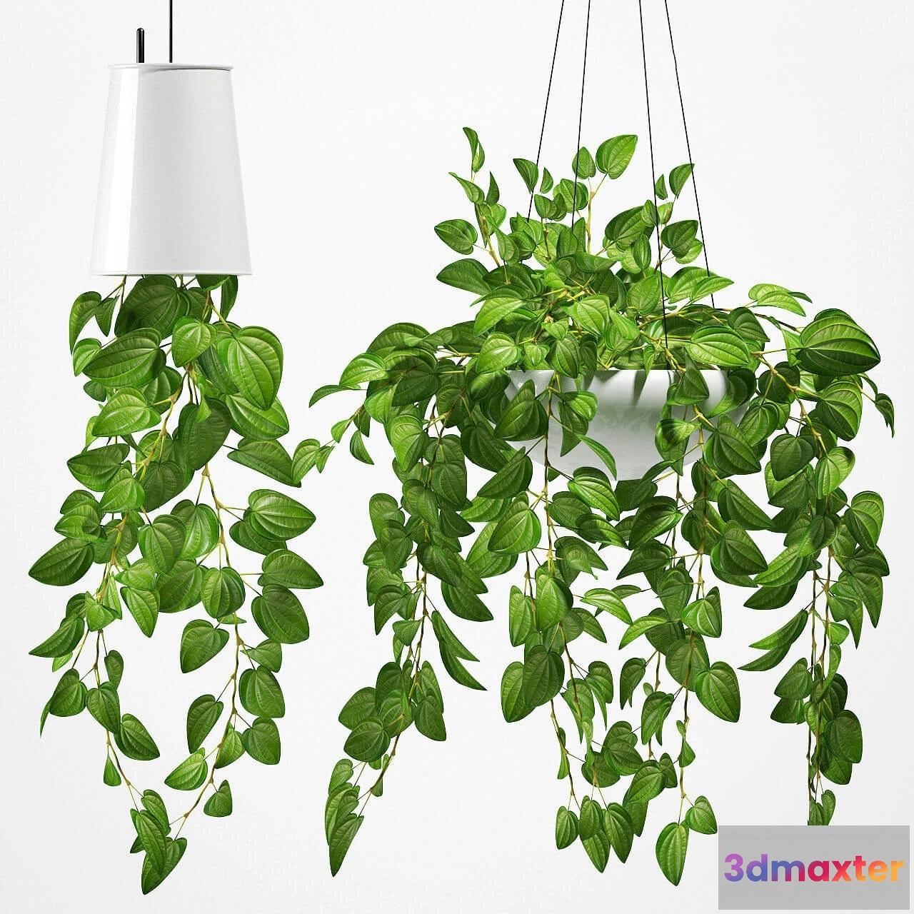 1606108 - decoration - Plants 131 3D Max