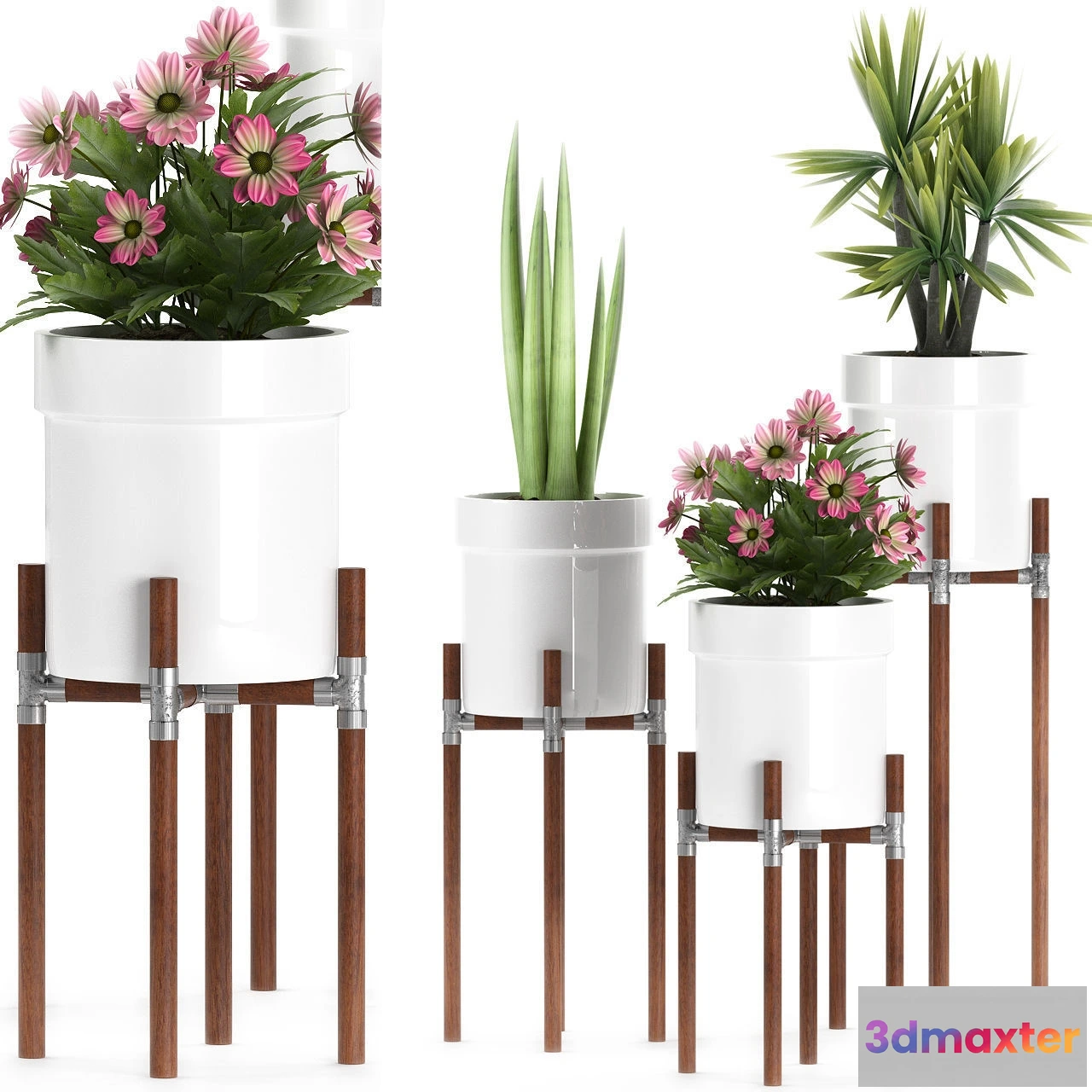 1606112 - decoration - Plants 130 3D Max