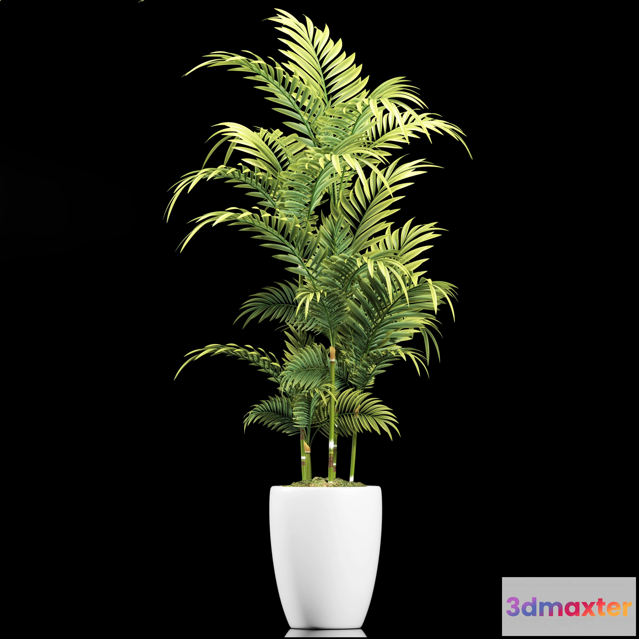 1606128 - decoration - Plants 95 3D Max