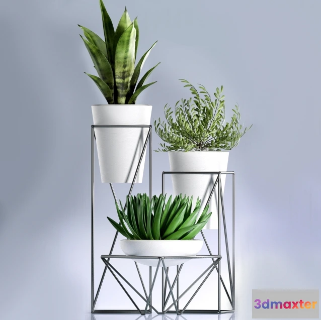 1606132 - decoration - Plants 99 3D Max