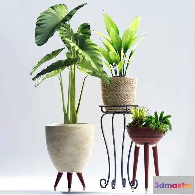 1606134 - decoration - Plants 97 3D Max