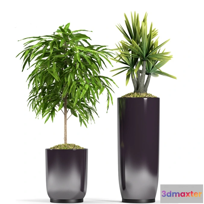 1606136 - decoration - Plants 94 3D Max