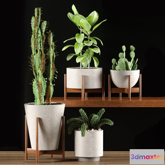 1606138 - decoration - Plants 9836 3D Max