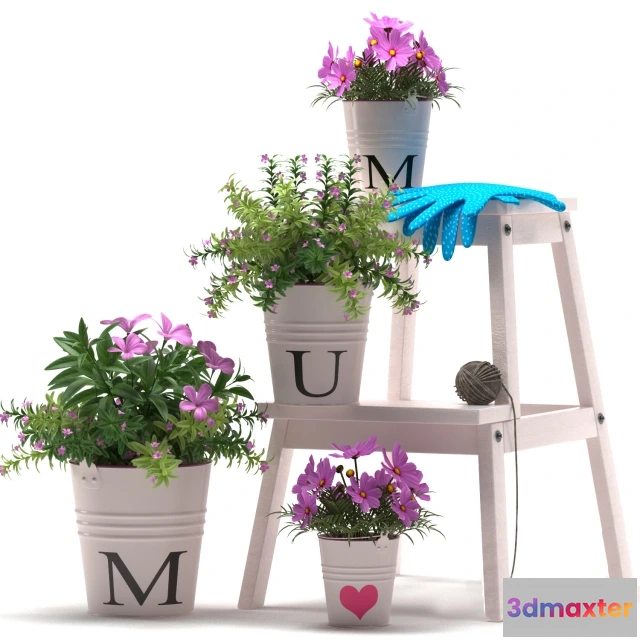 1606140 - decoration - Plants 41 3D Max