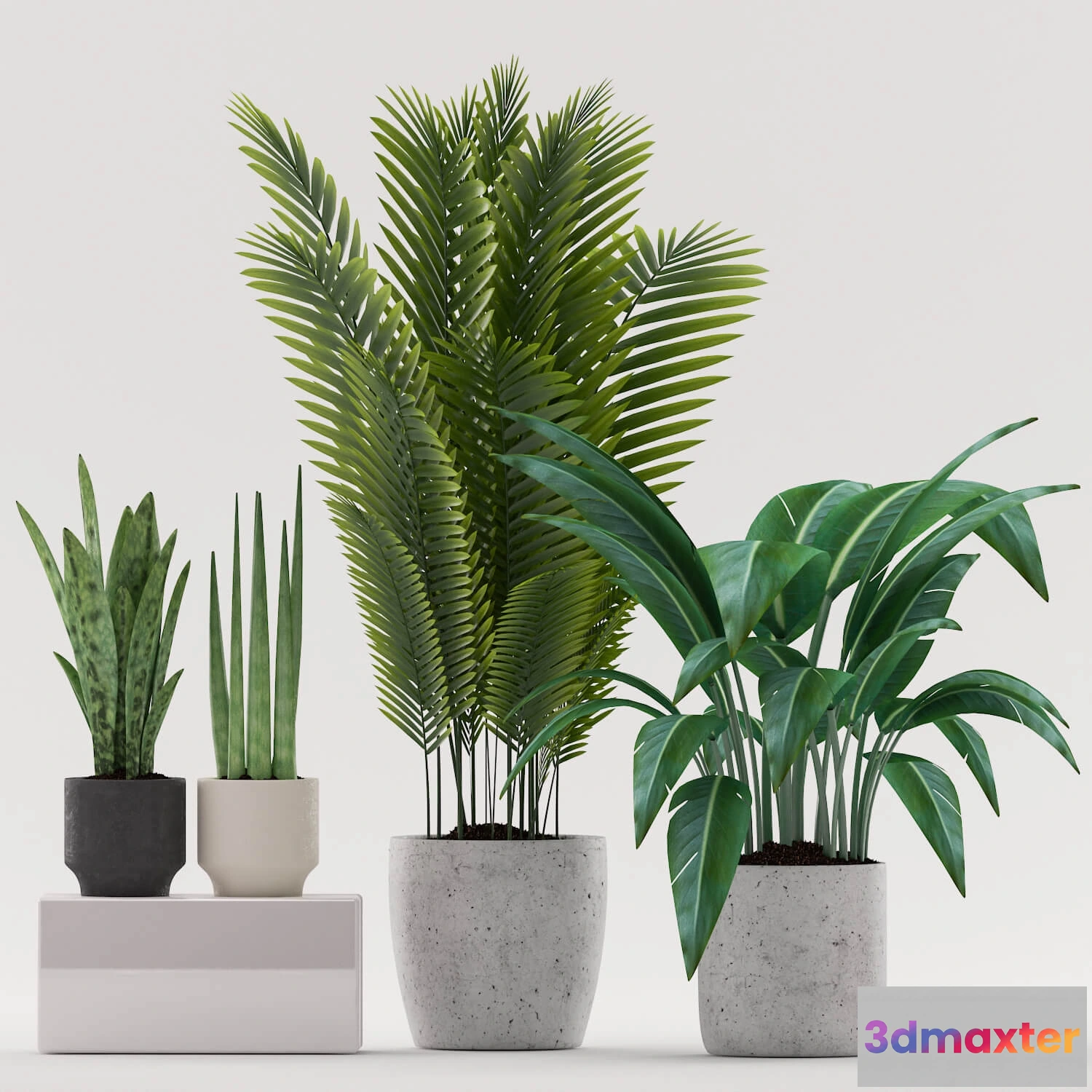 1606146 - decoration - Plants 101.1 3D Max