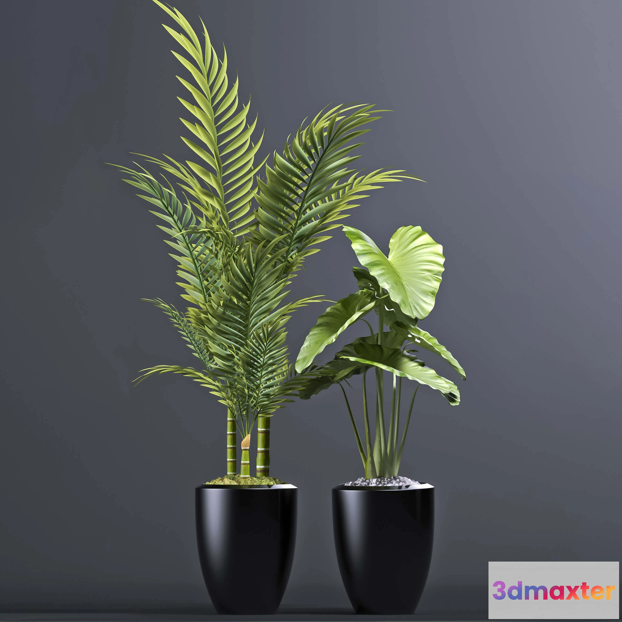 1606158 - decoration - Plants 102 3D Max