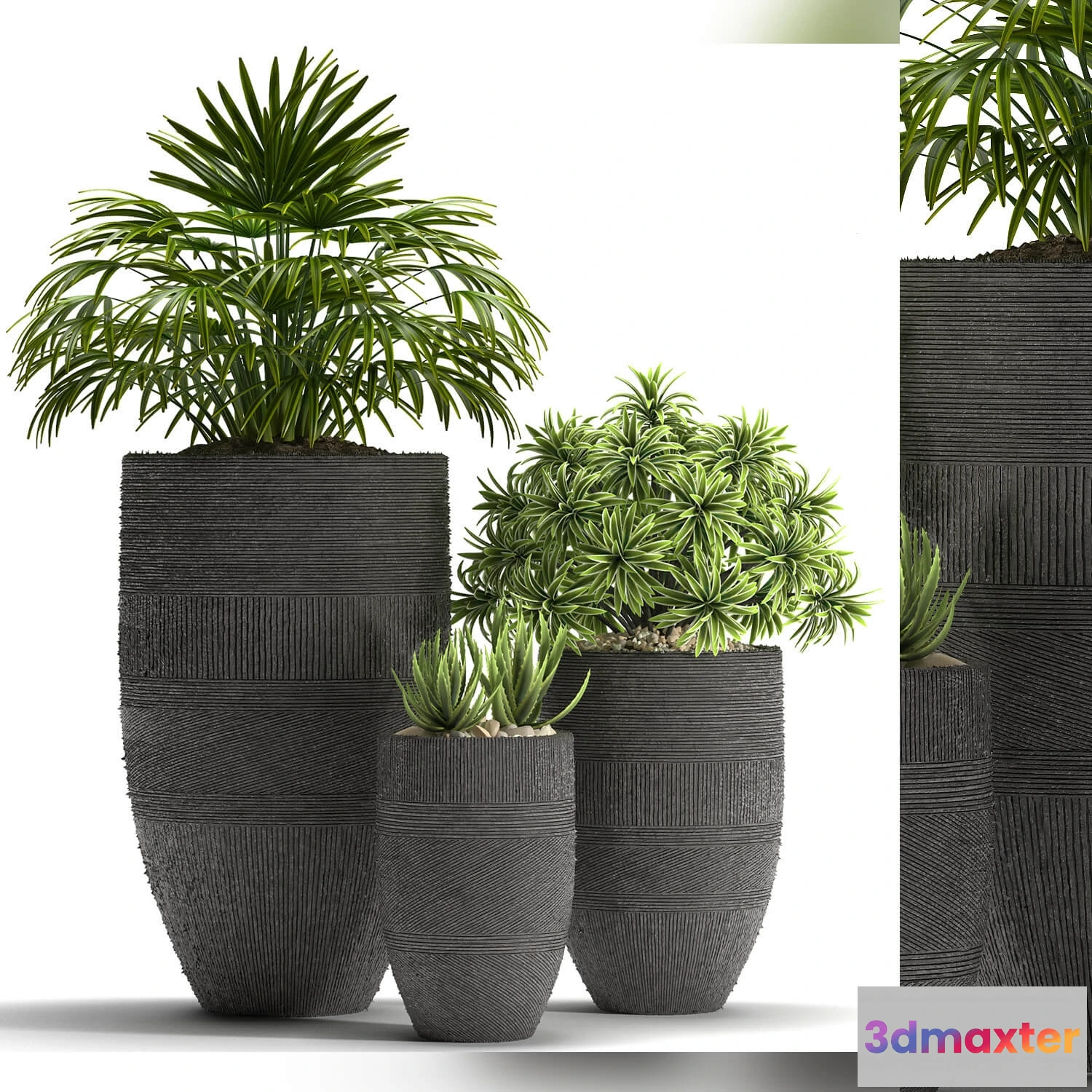 1606160 - decoration - Plants 42 3D Max