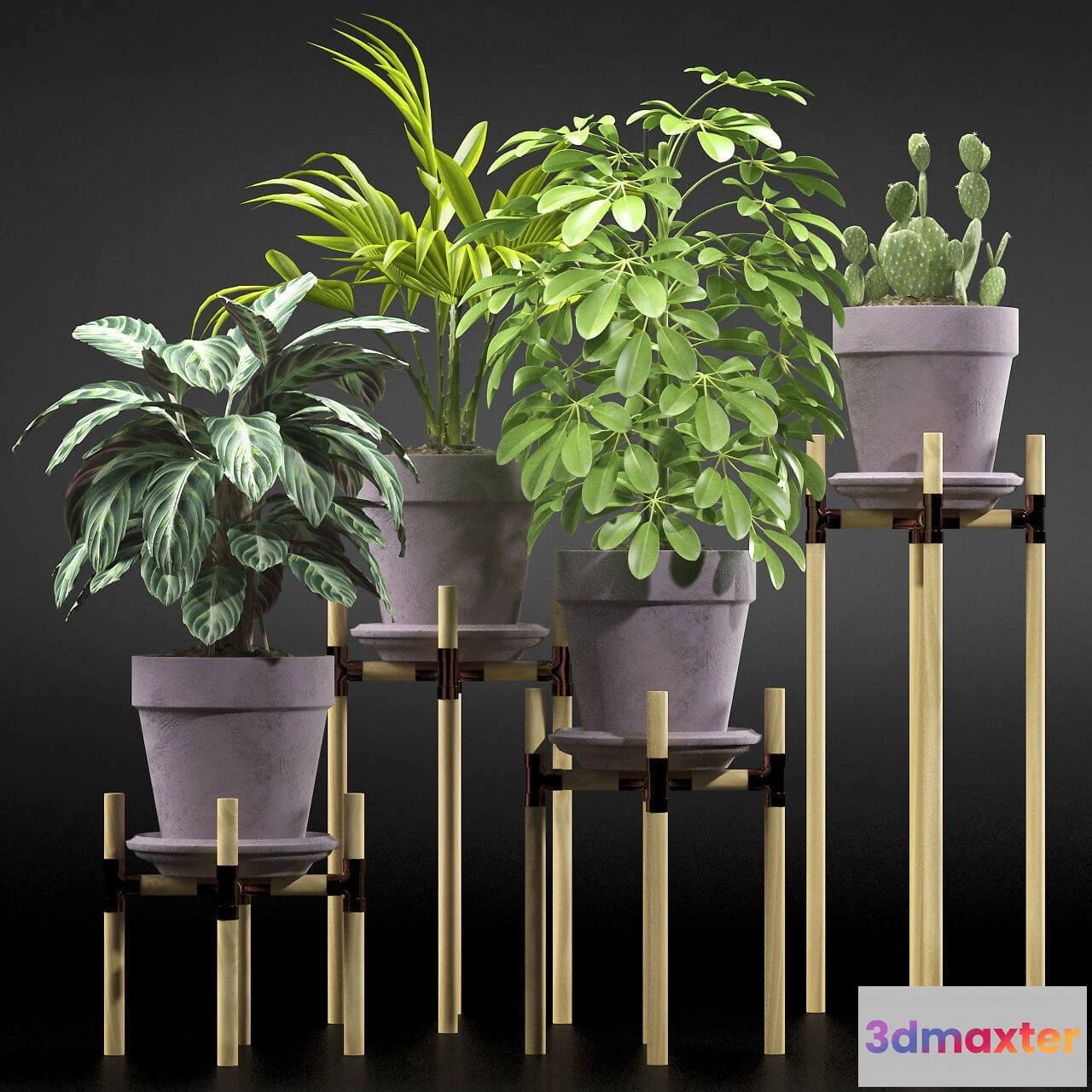 1606164 - decoration - Plants 106.1 3D Max