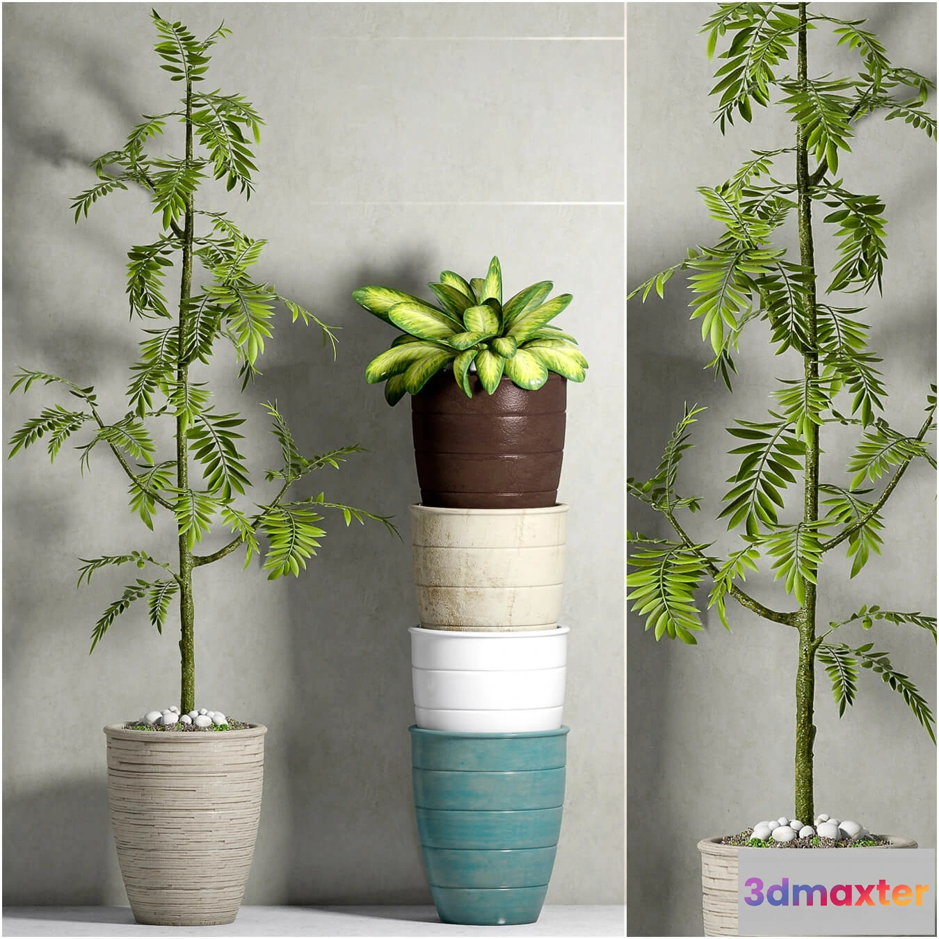 1606176 - decoration - Plants 888 3D Max