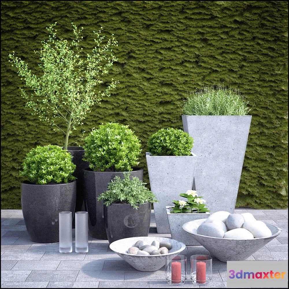 1606180 - decoration - Plants 859 3D Max