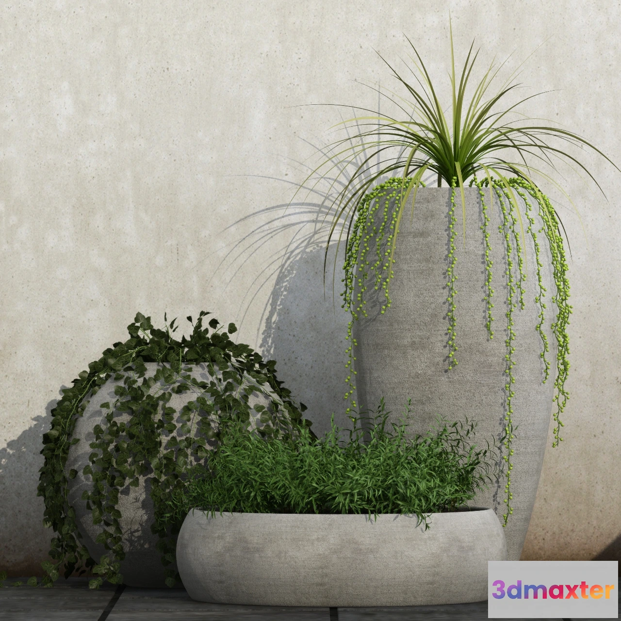 1606186 - decoration - Plants in pot 557 3D Max