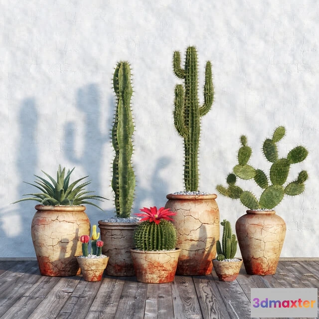 1606190 - decoration - Plants in pots 554 3D Max