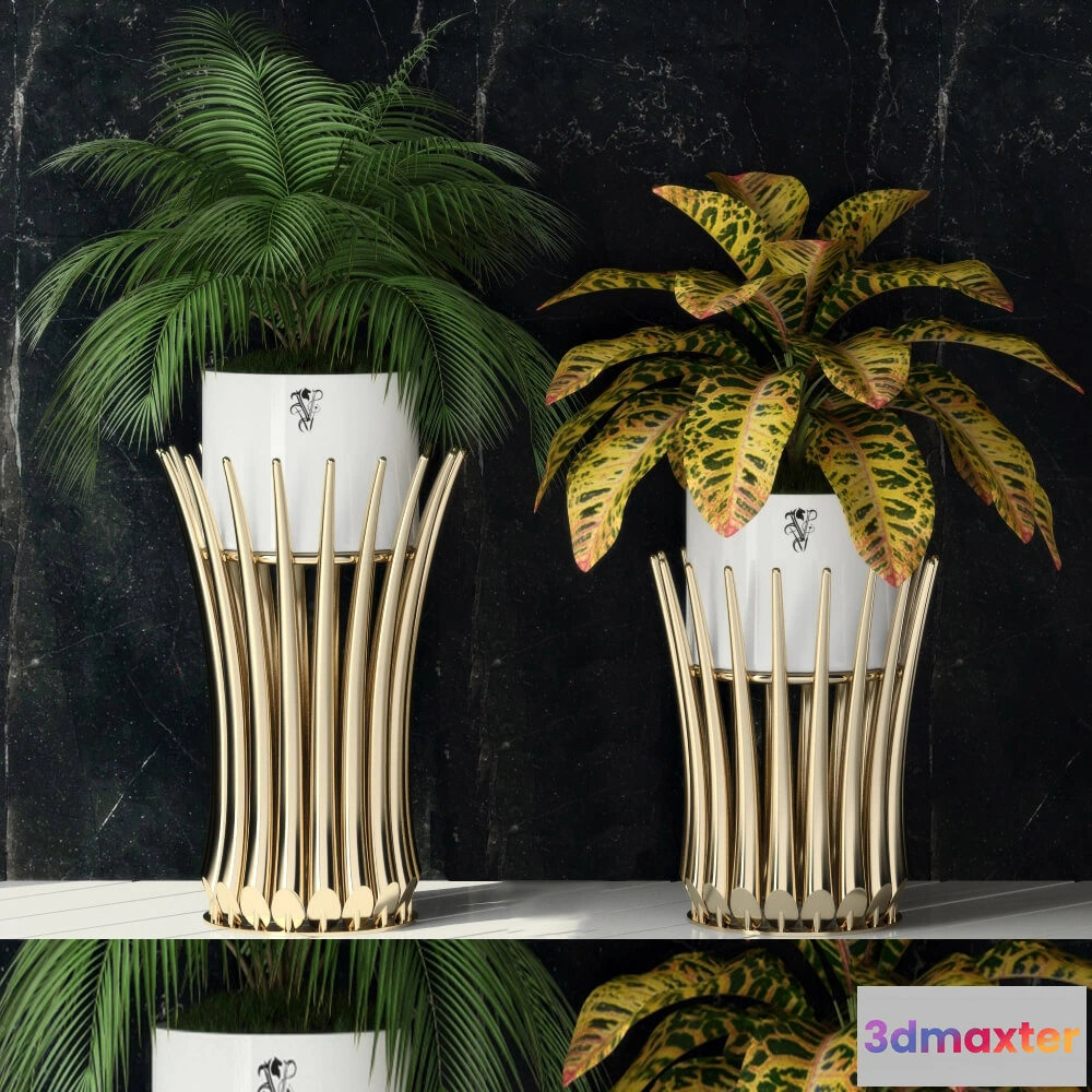 1606210 - decoration - Visionnaire Panarea IPE Cavalli 3D Max