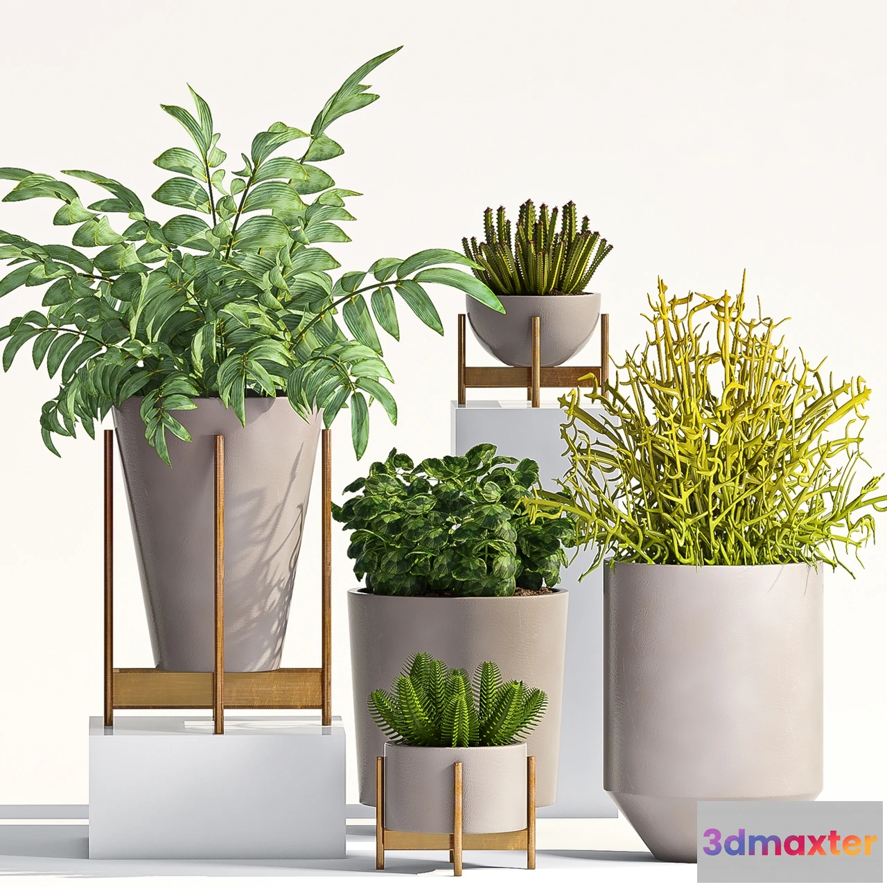 1606240 - decoration - Plant Set -66 3D Max