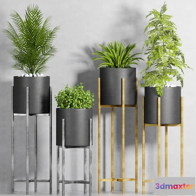 1606246 - decoration - Plant set-107 3D Max