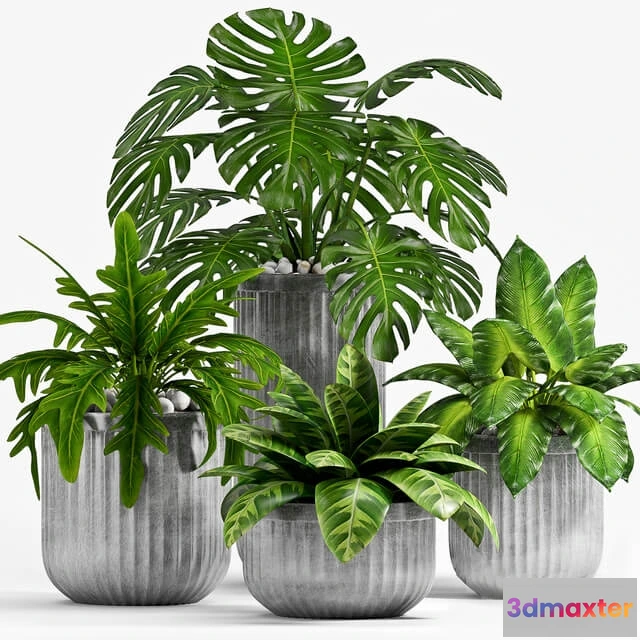 1606258 - decoration - Plant Set 100 3D Max