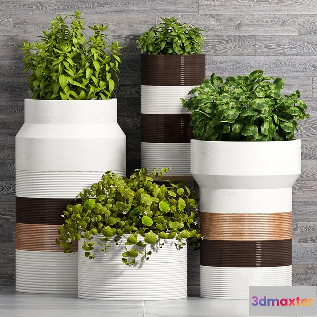 1606262 - decoration - Plant Set -93 3D Max