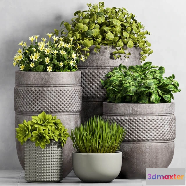 1606276 - decoration - Plant  Set -96 3D Max