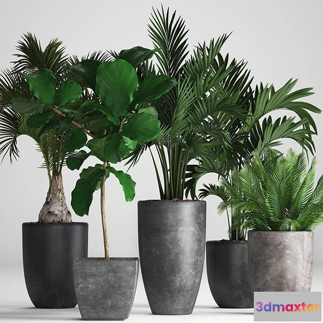 1606280 - decoration - Plant Collection 257 3D Max