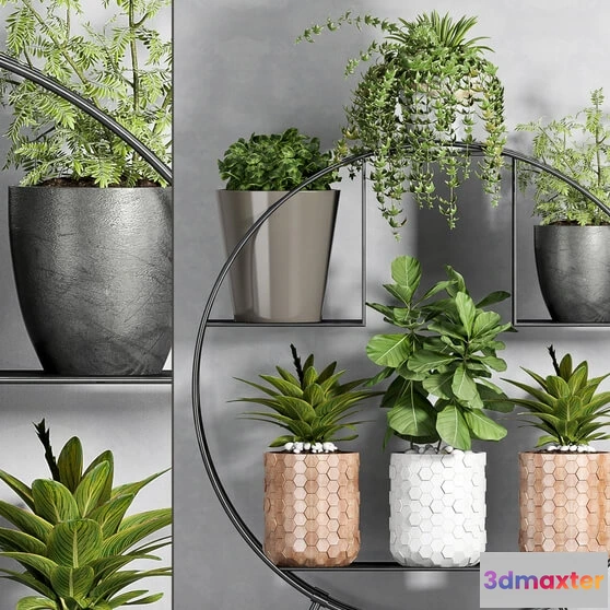 1606290 - decoration - Plant set 88 3D Max