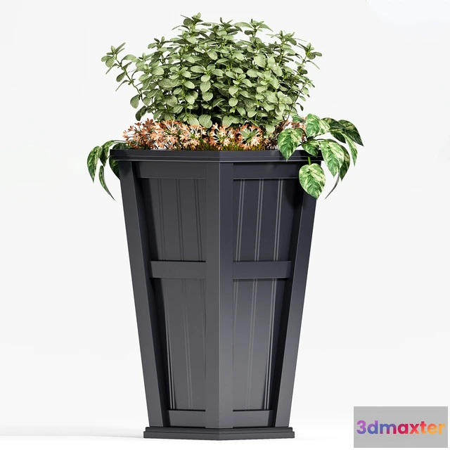 1606302 - decoration - Plant set 020 3D Max