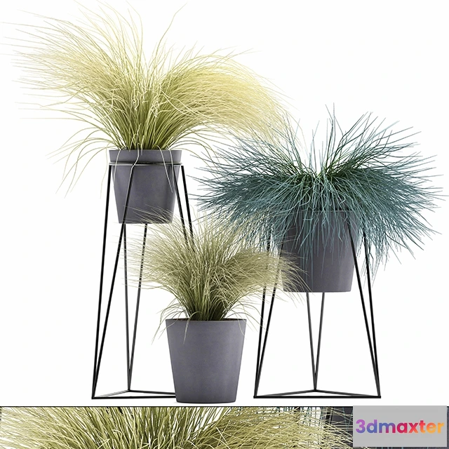 1606306 - decoration - Plant Collection 279 3D Max