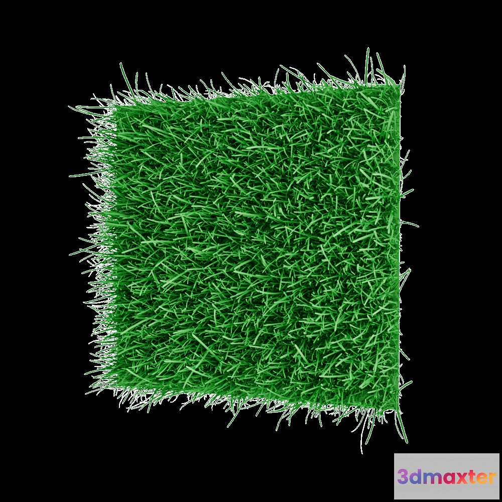 1606310 - decoration - Decorative Plants 001 3D Max