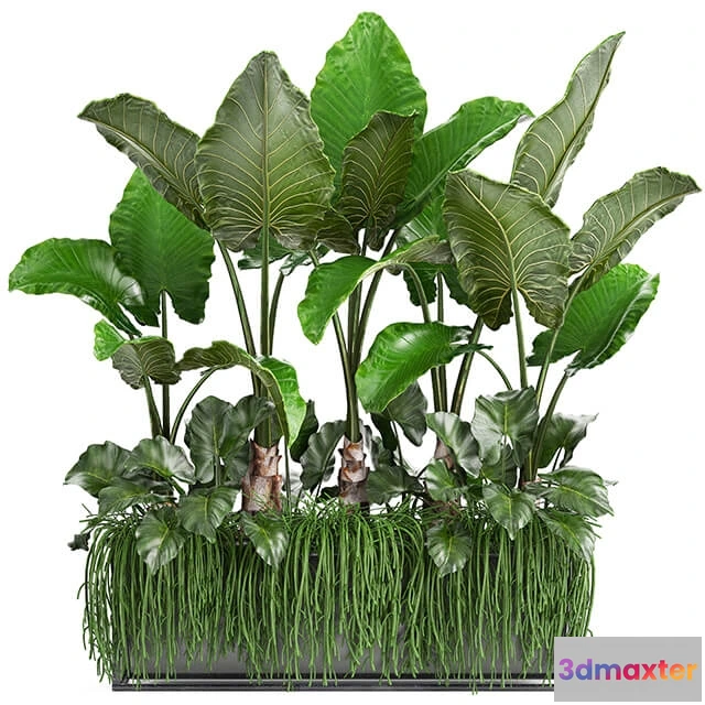 1606336 - decoration - Plant collection 248 3D Max