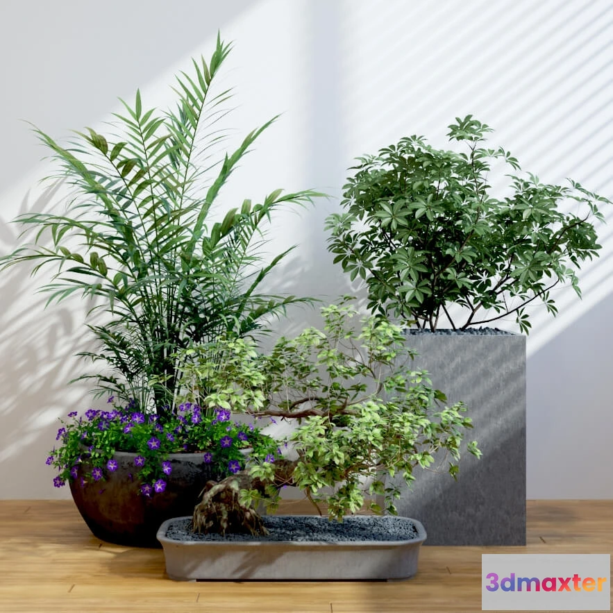 1606340 - decoration - Plants 93 3D Max